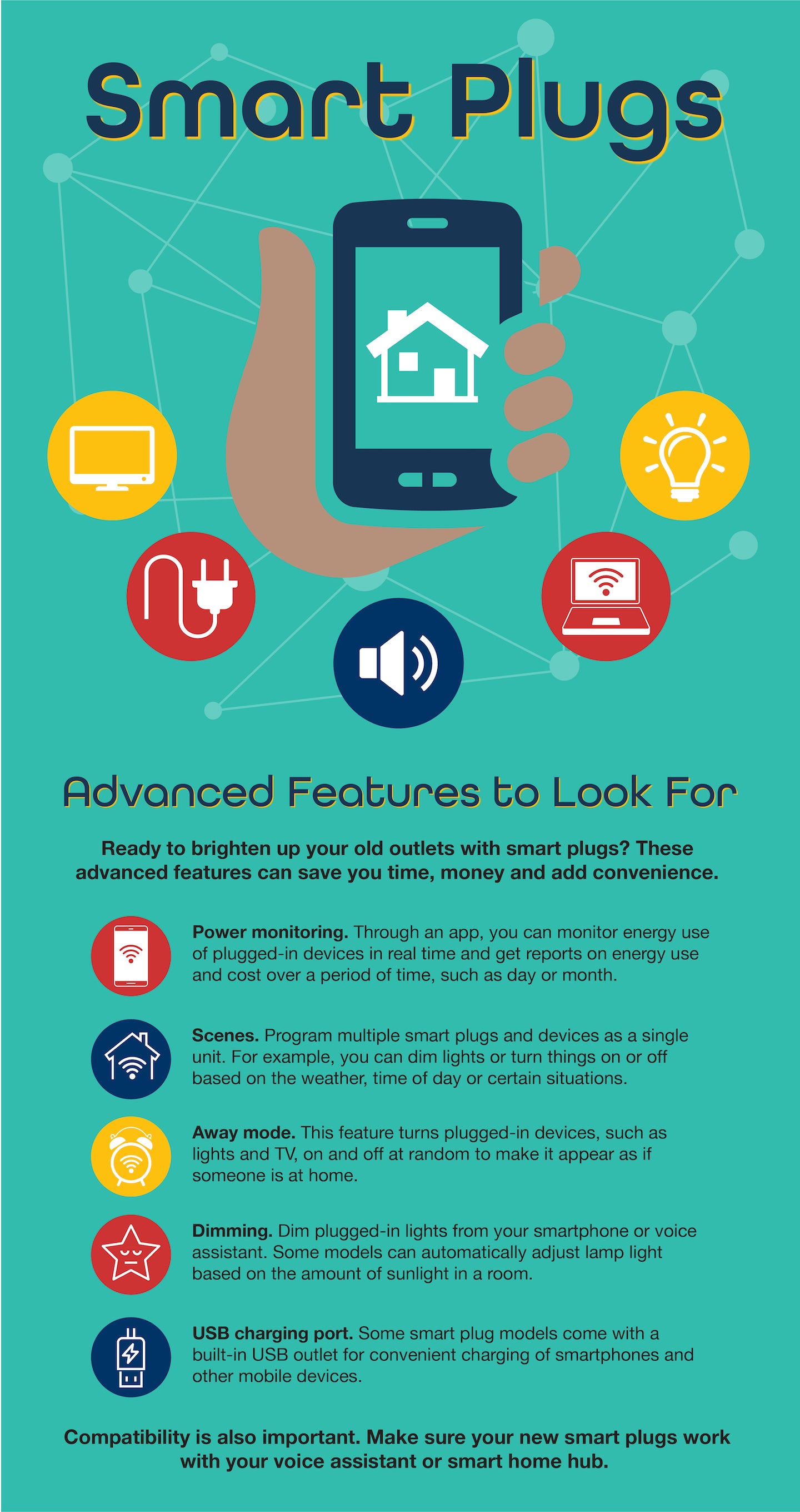 Smart Plug Features Infographic