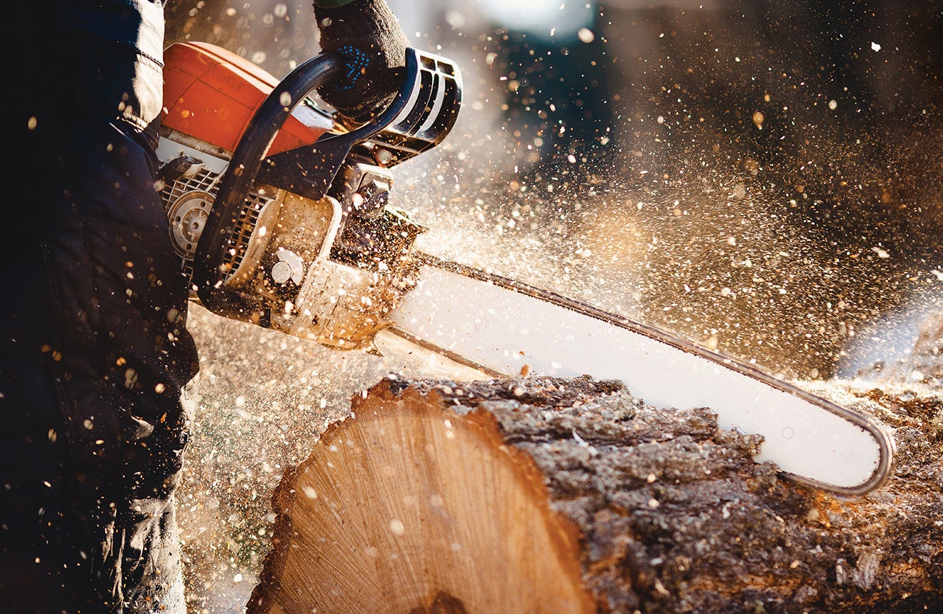 What’s the buzz about electric chainsaws